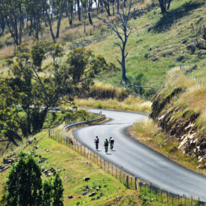 Rising temperatures call for a refreshing post-ride brew.