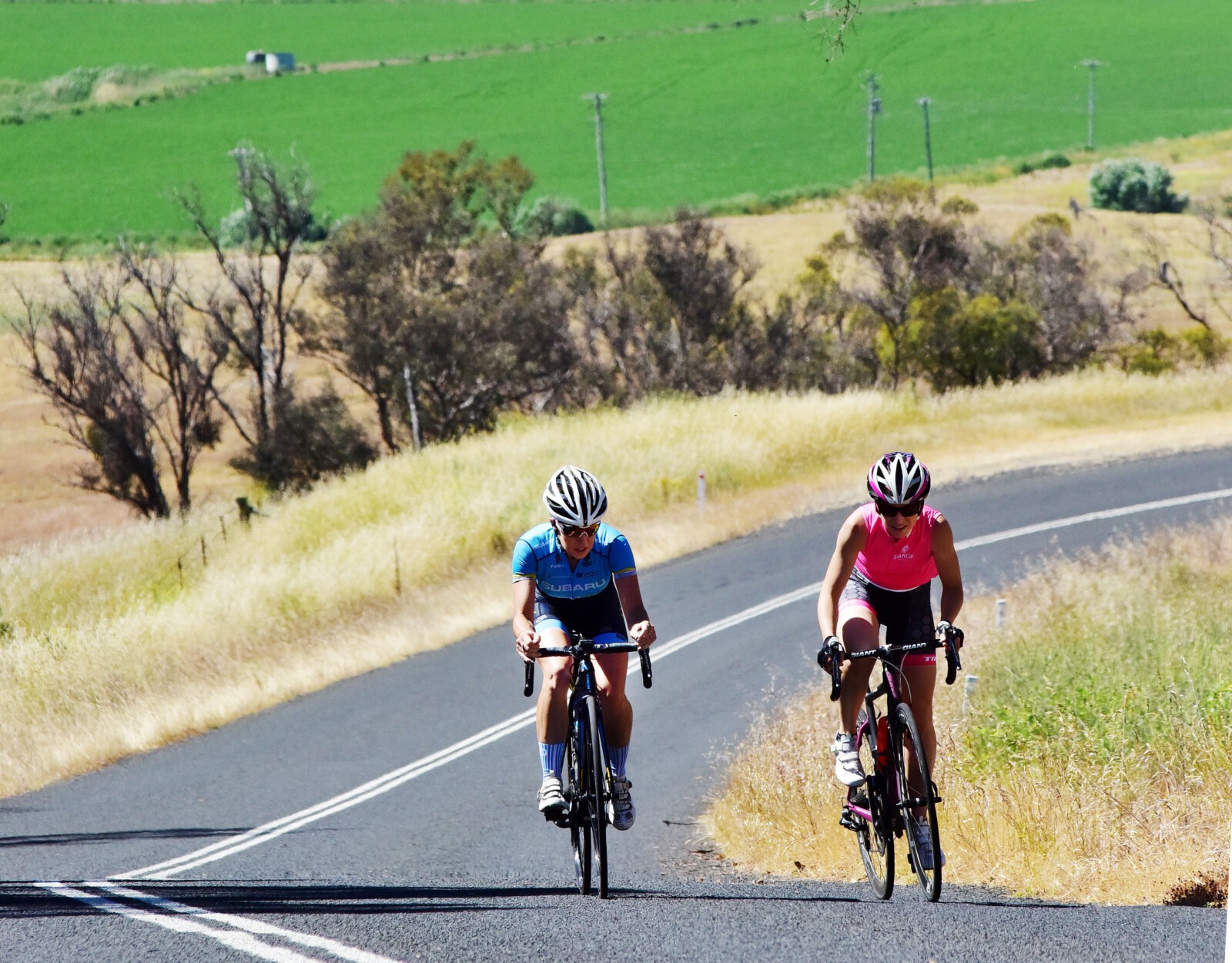Climbing one of the 'rollers' on the final day's Euro ride.