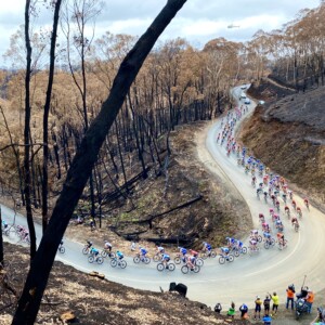 Stage 3 of the TDU passed through Cudlee Creek, an area severely impacted by fire just weeks earlier. Image: Nat Bromhead