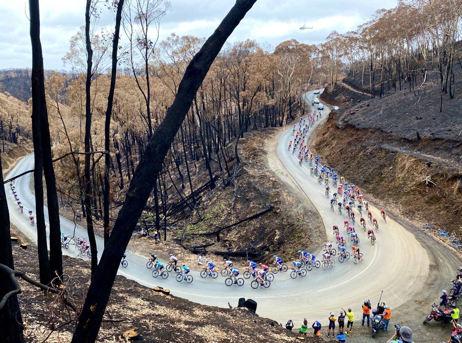 Stage 3 of the 2020 TDU, Turtur's final race, passed through Cudlee Creek, an area severely impacted by fire just weeks earlier. Image: Nat Bromhead