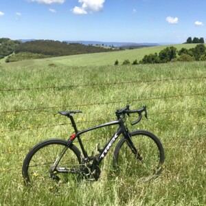 Caleb Ewan after winning Stage 2 of the 2017 Tour Down Under. Image: Nat Bromhead.