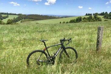 Caleb Ewan after winning Stage 2 of the 2017 Tour Down Under. Image: Nat Bromhead.