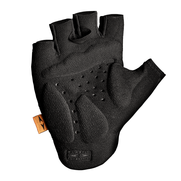 Elastic 2024 interface gloves