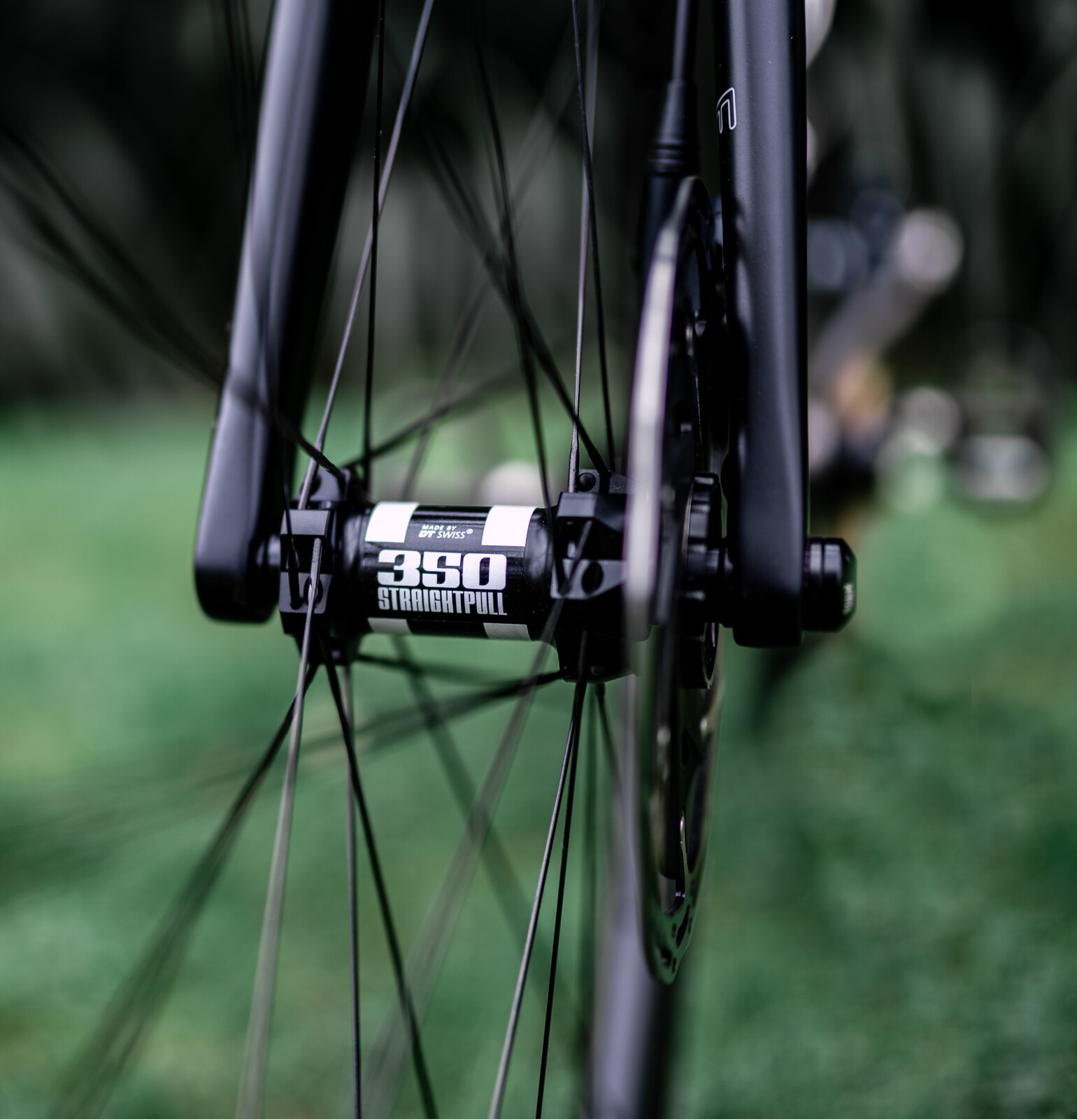 Curve belgie disc discount v3