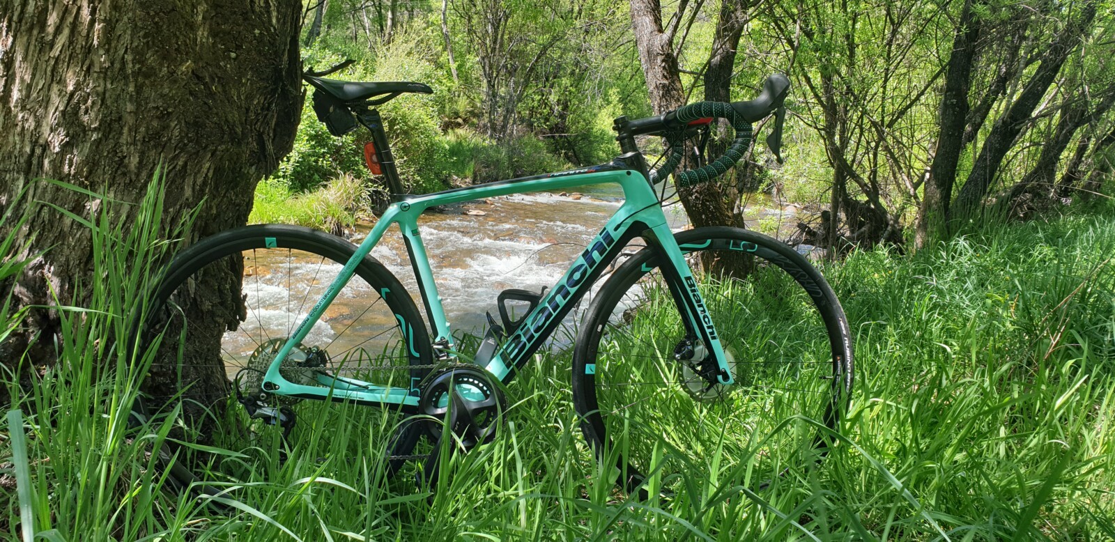 Tested Bianchi Infinito CV Disc In Victoria s High Country