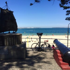 A jacaranda tree in full bloom along the banks of the picturesque Cooks River.