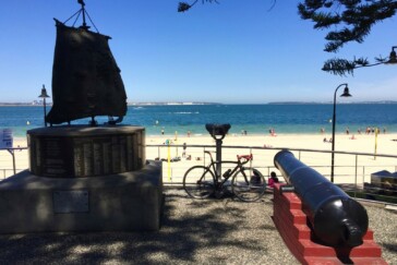 A jacaranda tree in full bloom along the banks of the picturesque Cooks River.