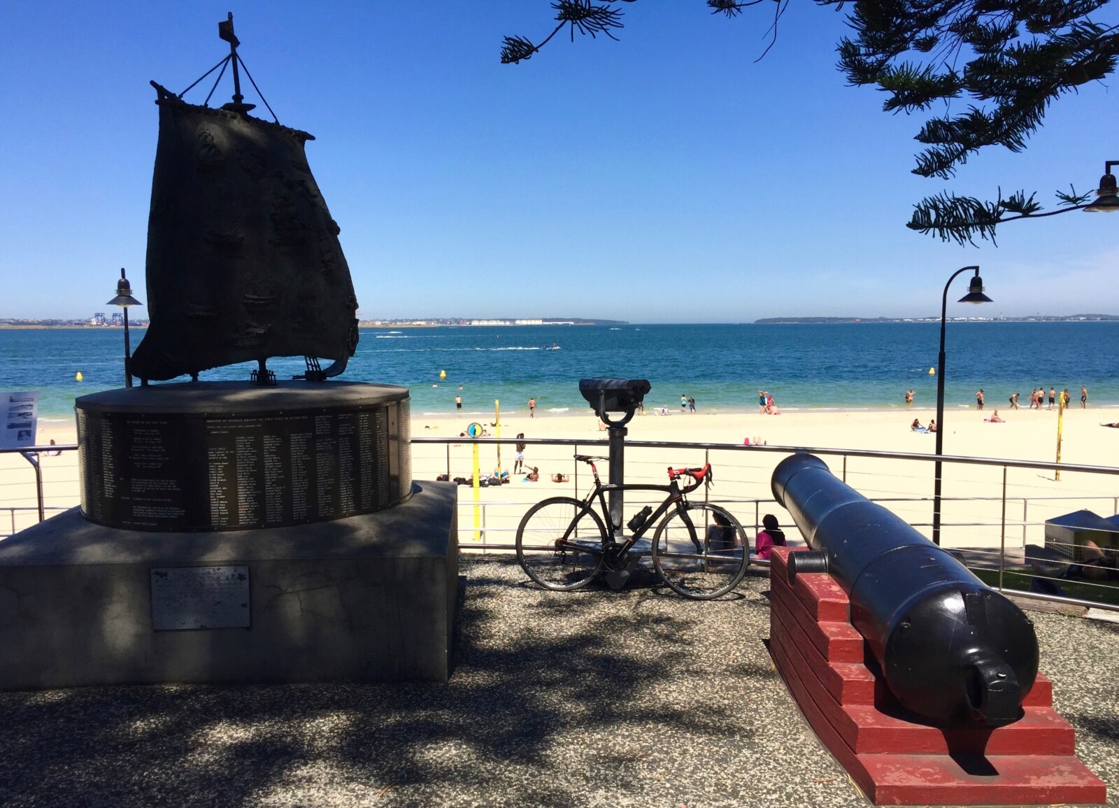 A jacaranda tree in full bloom along the banks of the picturesque Cooks River.