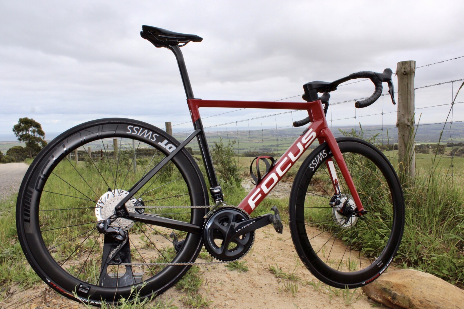 Focus izalco max store red