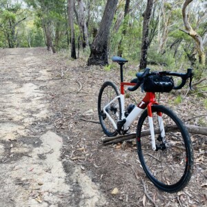 The new Ekar groupset features a thumb hook to assist with positive gear changes.