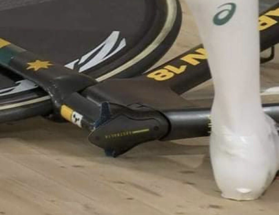 4cdb0c2e F017 4d36 89a2 754ae6d45eca2.jpeg