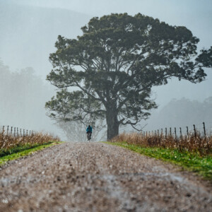 Devilscardigan2021 Kiphoto Dz6 4306 Webres