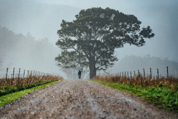 Devilscardigan2021 Kiphoto Dz6 4306 Webres