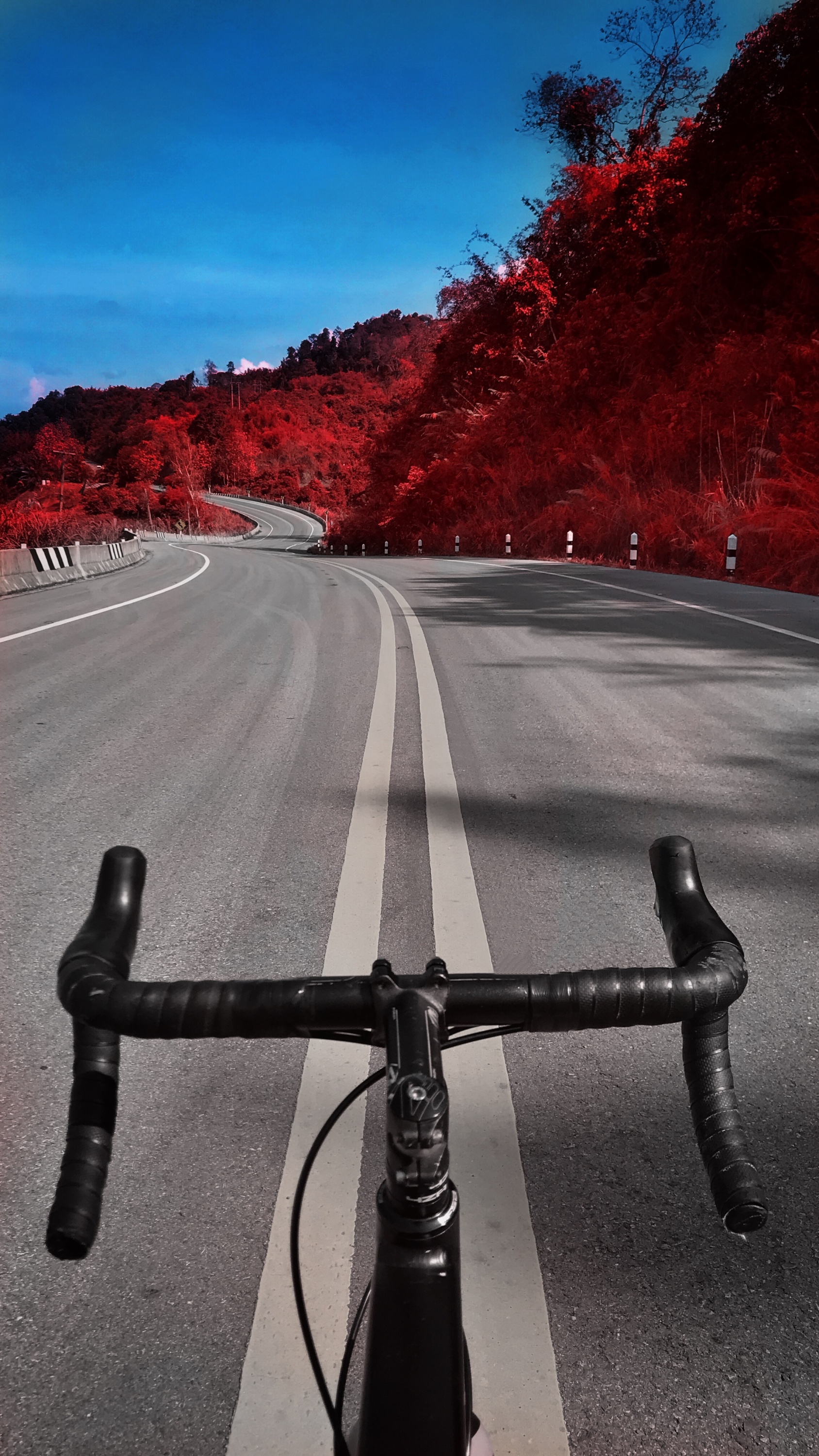 Breathtaking Views, Back View of Cyclists on a Sunset Road Vertical Mobile  Wallpaper AI Generated 30314335 Stock Photo at Vecteezy